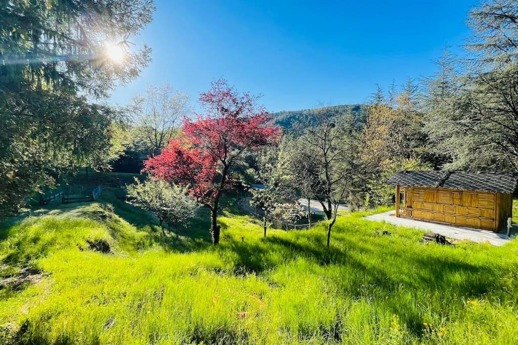 Apartamento Gite Des 3 Vallees - Le Soleil Des Cevennes Saint-Jean-du-Gard Exterior foto