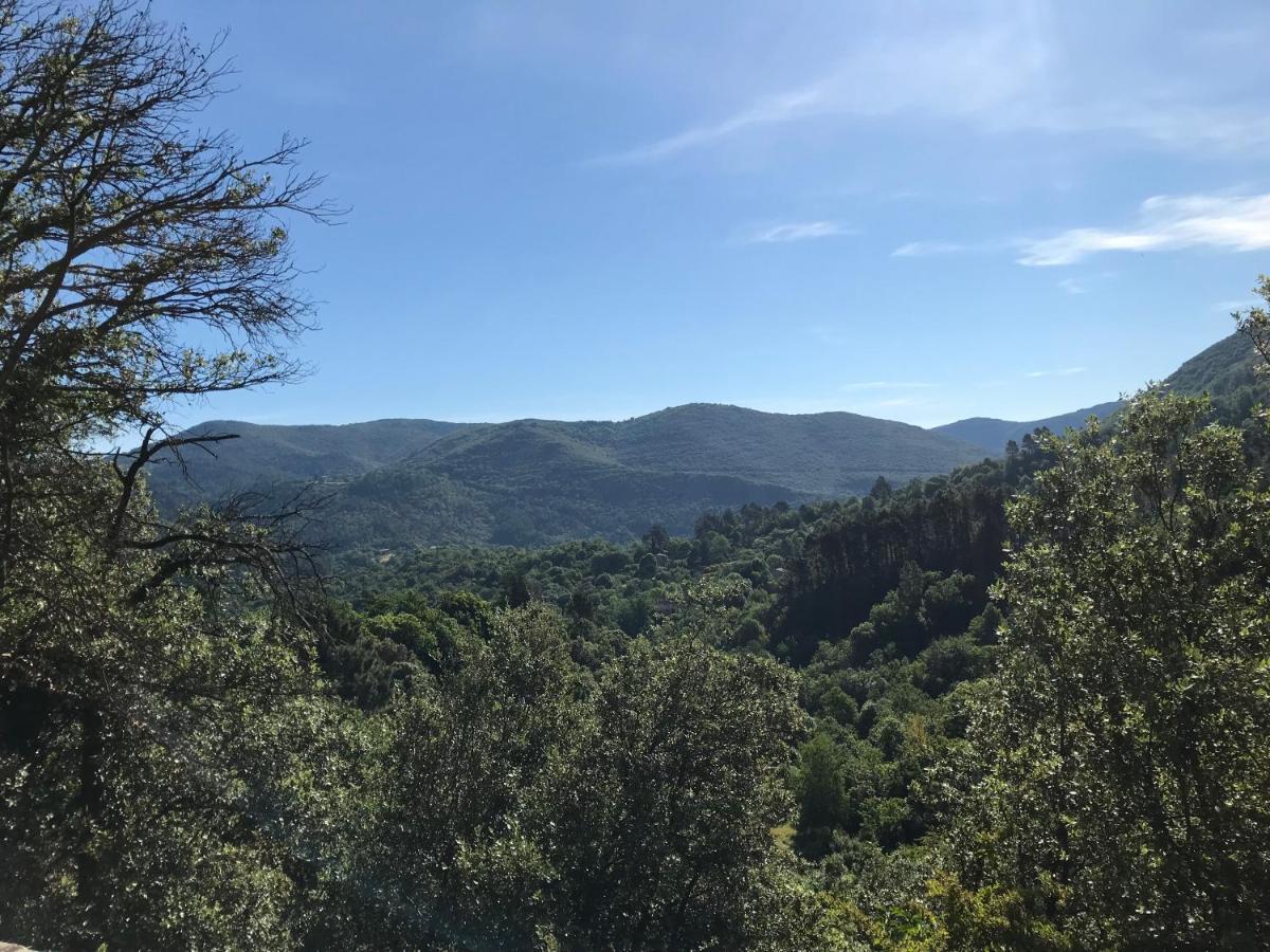 Apartamento Gite Des 3 Vallees - Le Soleil Des Cevennes Saint-Jean-du-Gard Exterior foto